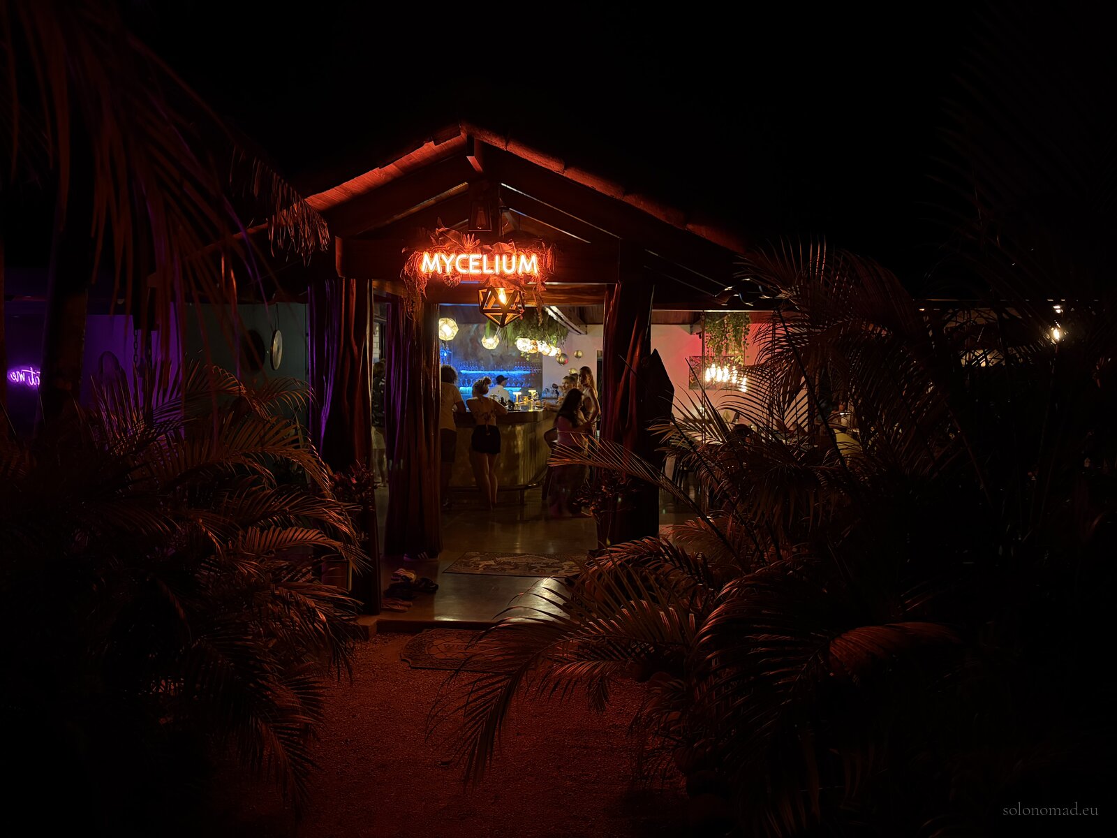 Mycelium — A Teleport to Another Reality